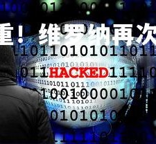 C7娱乐官网-困境重重！维罗纳再次遭遇失败，维罗纳计划