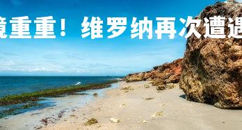 C7娱乐官网-困境重重!维罗纳再次遭遇失败,维罗纳计划-第2张图片-C7娱乐官网 C7娱乐官网-困境重重!维罗纳再次遭遇失败,维罗纳计划-第2张图片-C7娱乐官网